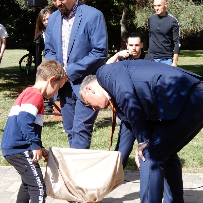 Életfa ültetés a város napján 26